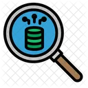 Search Database Search Server Seaarch Data Icon