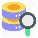 Search Database Database Search Icon