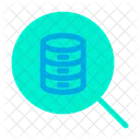 Find Data Search Find Icon