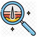 Search Dermatology Dermatology Magnifying Glass Icon