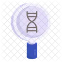 Search Dna Deoxyribonucleic Acid Dna Strand Icon