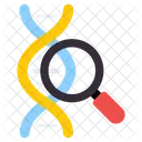 Search Dna Dna Strand Biology Icon