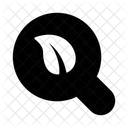 Search Eco  Icon