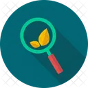 Search Ecology Eco Ecology Icon