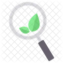 Search Ecology  Icon