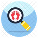 Search Evidence  Icon