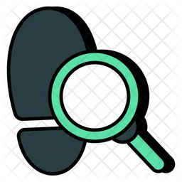 Search Evidence  Icon
