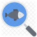 Search Fish  Icon