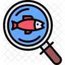 Search Fish  Icon