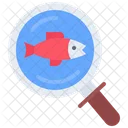 Search Fish Find Fish Search Icon