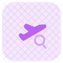 Search Flight Find Flight Flight Icon