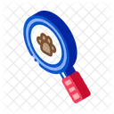 Search Footprint  Icon