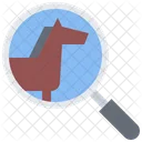 Search Horse  Icon
