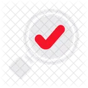 Search Approve Quality Control Icon