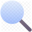 Search Find Magnifier Icon