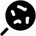 Search Bacteria Virus Icon