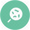 Search Bacteria Virus Icon