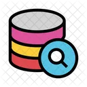 Storage Search Database Icon