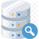 Search in databse  Icon