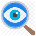 Search Insights  Icon