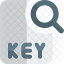 Search Key File  Icon