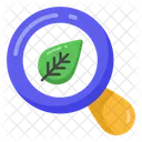 Search Leaf Ecology Research Leaf Analysis Icon