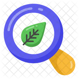 Search Leaf  Icon