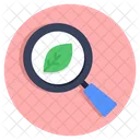 Search Leaf Find Leaf Leaf Analysis Icon