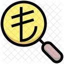 Business Financial Magnifier Icon