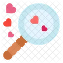 Search Love Heart Icon