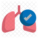 Search Lung  Icon