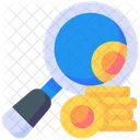Search Money Magnifier Icon
