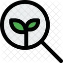 Search Organic Eco Search Eco Find Icon