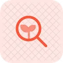 Search Organic  Icon