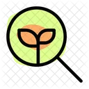 Search Organic Eco Search Eco Find Icon
