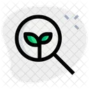 Search Organic Icon
