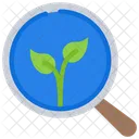Search Organic Search Organic Icon