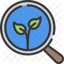 Search Organic Search Organic Icon