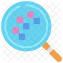 Search Pattern  Icon