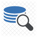 Search Server Search Database Server Icon