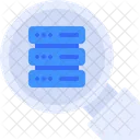 Search Server Data  Icon