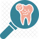 Search Teeth Search Teeth Icon