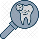 Search Teeth Search Teeth Icon