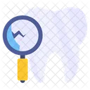 Search Tooth  Icon