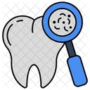 Search Tooth  Icon