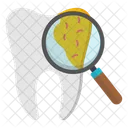 Search Tooth Find Tooth Tooth Analysis Icon