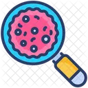Search Virus Scan Icon