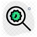Search virus  Icon