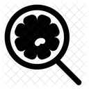 Search Virus Search Coronavirus Search Disease Icon