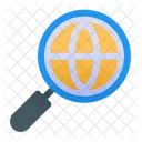 Search Web Search Magnifier Icon